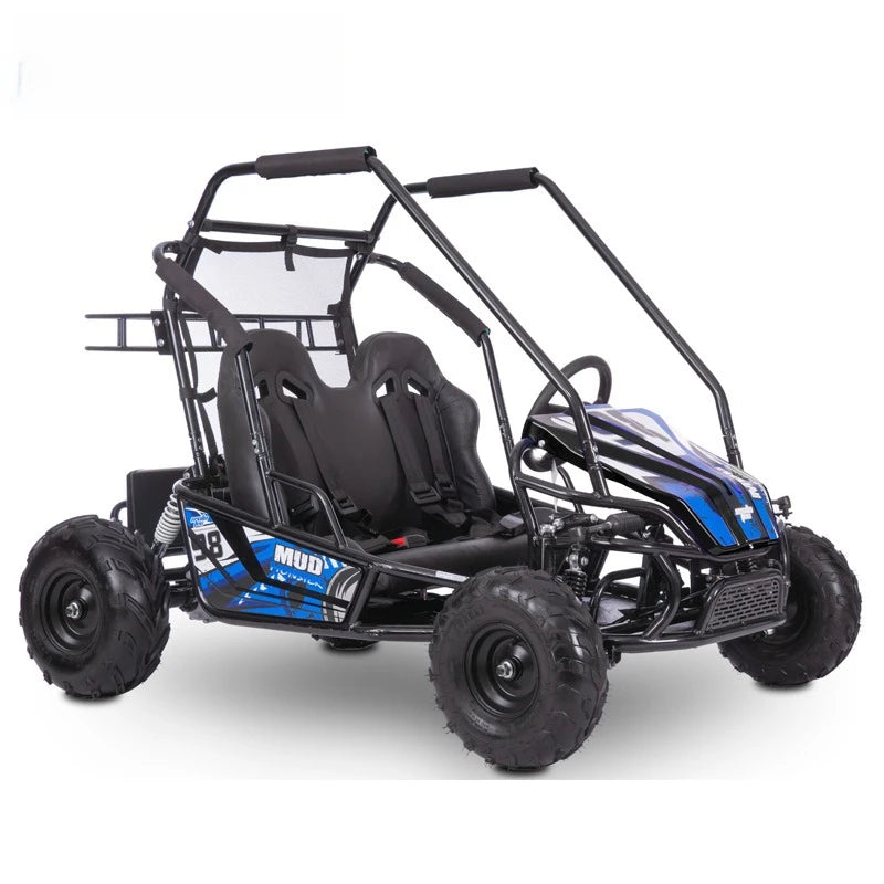 1200W 48V 60V Big Electric 2 Seat dune Buggy, Electric Kids Go Kart, Off-road Go-karts for Cheap Sale