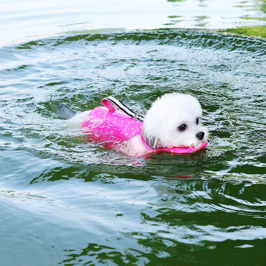 Dogs Swimsuit Summer Pet Clothes Water Play Dog Life Jacket for Small Medium Dogs Teddy Pet Life Vest