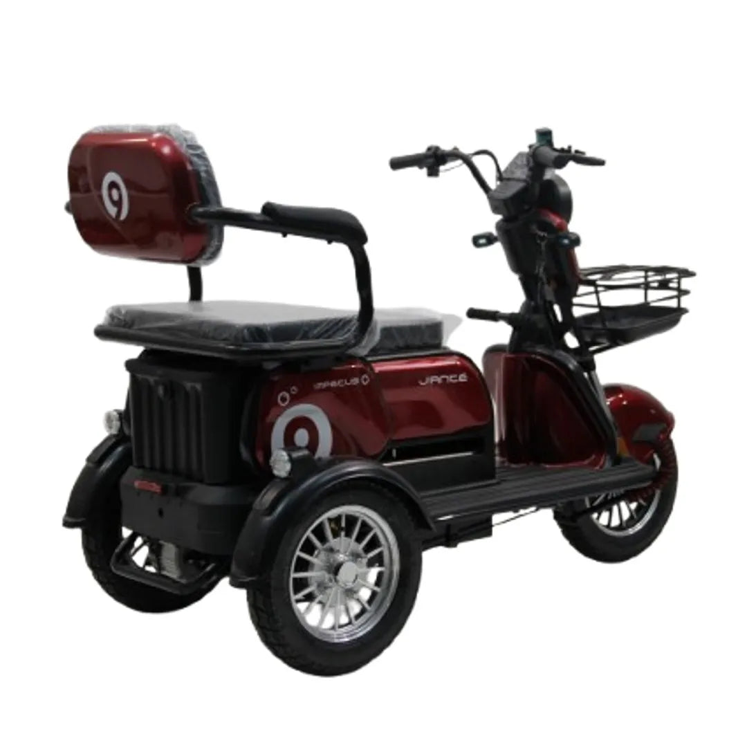 Modification Fashion Design 3 Wheel Electric Mobility Scooter 60V 20ah Streetbike Two Seats with Basket High Quality for Adults