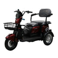 Modification Fashion Design 3 Wheel Electric Mobility Scooter 60V 20ah Streetbike Two Seats with Basket High Quality for Adults