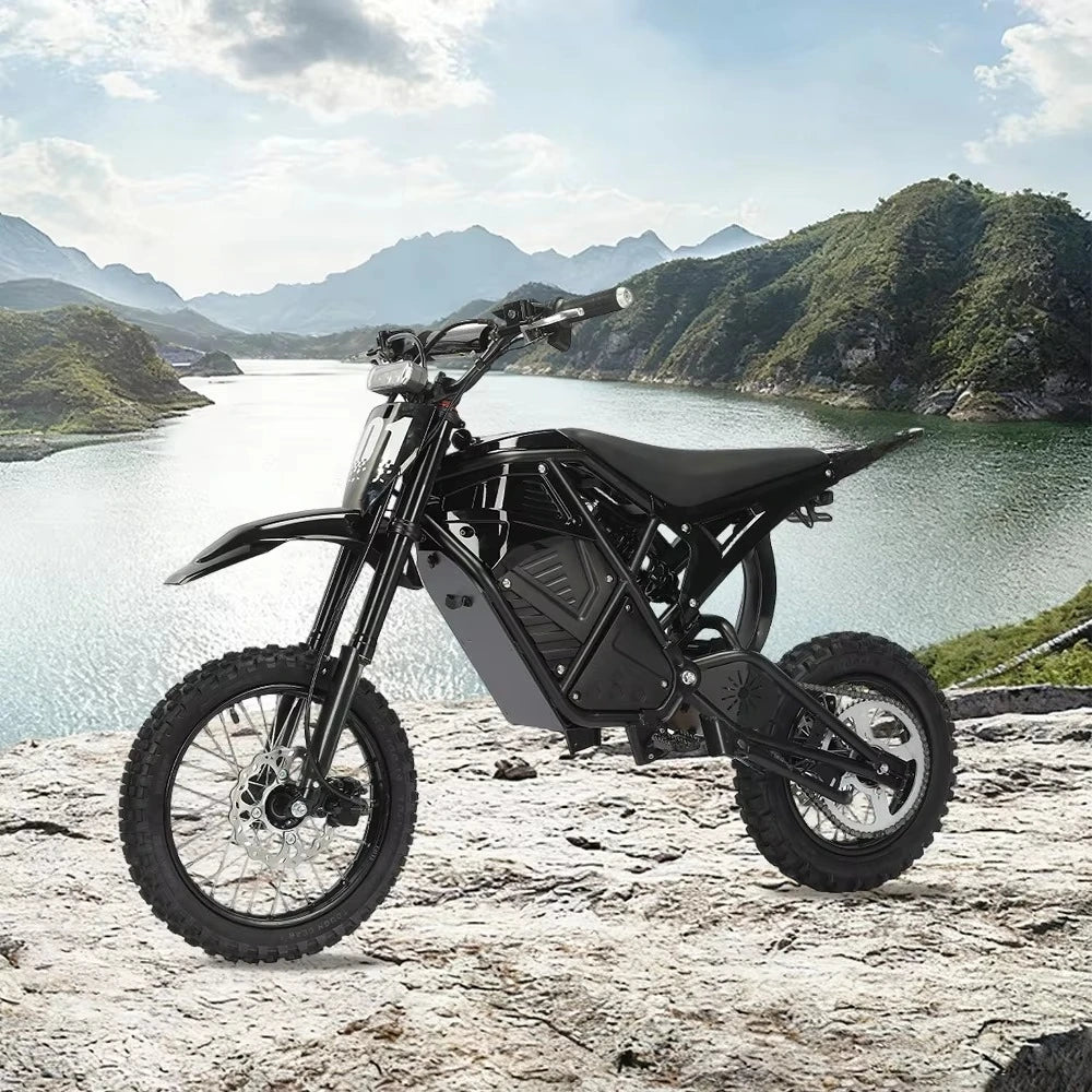 Electric Dirt Bike 48V Lithium Battery Full Suspension Electric Mountain Bike