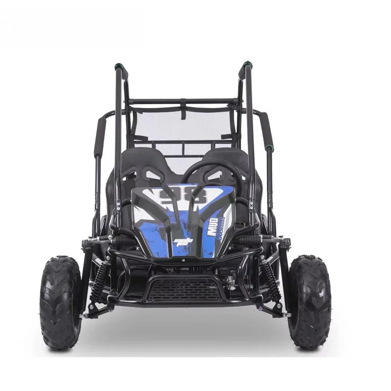 1200W 48V 60V Big Electric 2 Seat dune Buggy, Electric Kids Go Kart, Off-road Go-karts for Cheap Sale