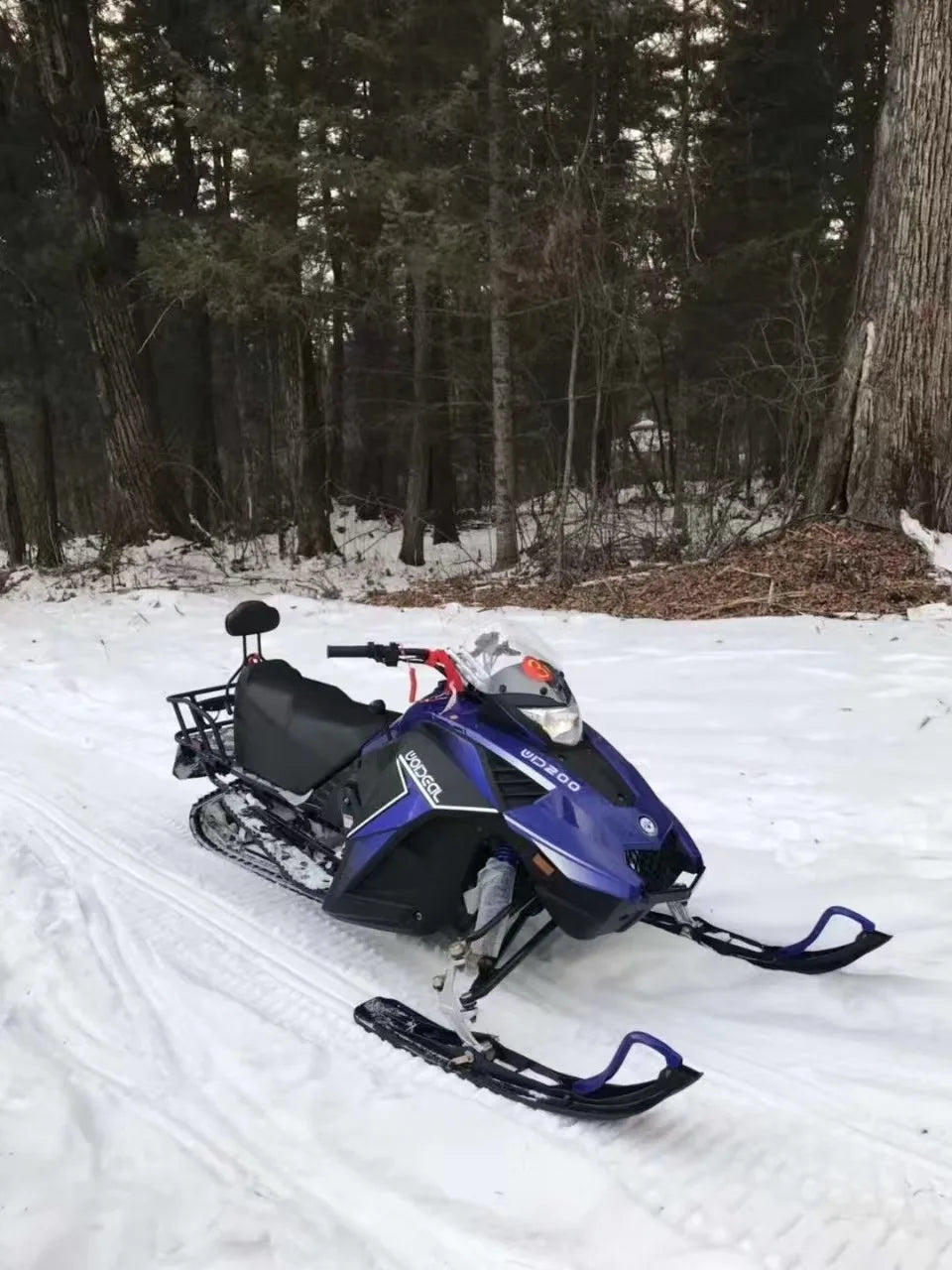 High Quality 380cc Snowmobiles Kids and Adult Snowmobiles Snow Mobile Snow Vehicle on Sale
