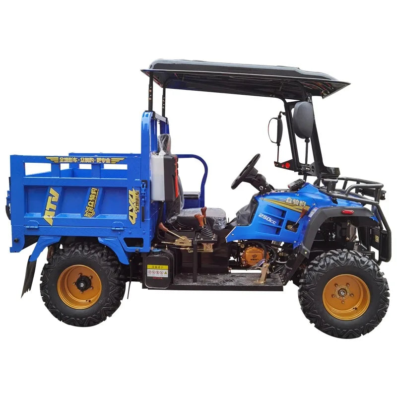 Small Truck Dune Buggy Beach Buggy Cruiser UTV 150cc 400cc Kids Adults Cheap 4*4 ATV