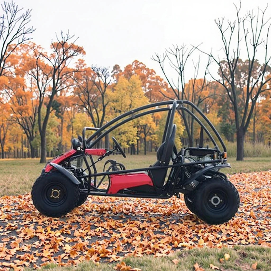 150CC 200CC Professional Off-Road Dune Buggy Electric Gas Pedal Go Karts 4-Wheel Kart with Chain Drive for Outdoor Use