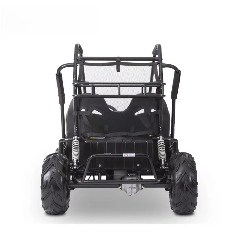 1200W 48V 60V Big Electric 2 Seat dune Buggy, Electric Kids Go Kart, Off-road Go-karts for Cheap Sale