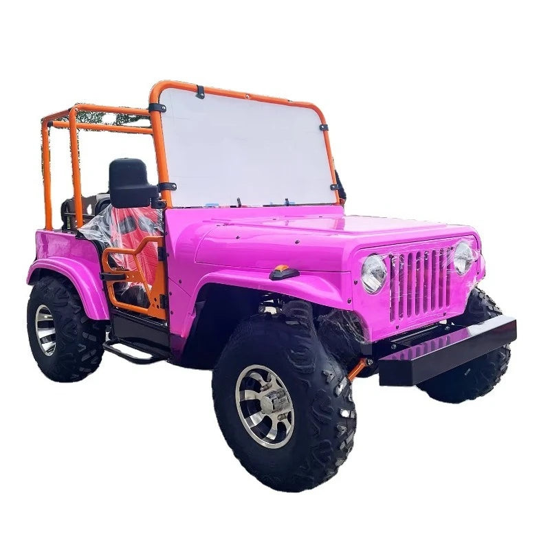 Customized Pink Design Buggy Dune Car Popular Mini Adult & Kids Beach Mountain Off-Road Play Vehicle for Sale