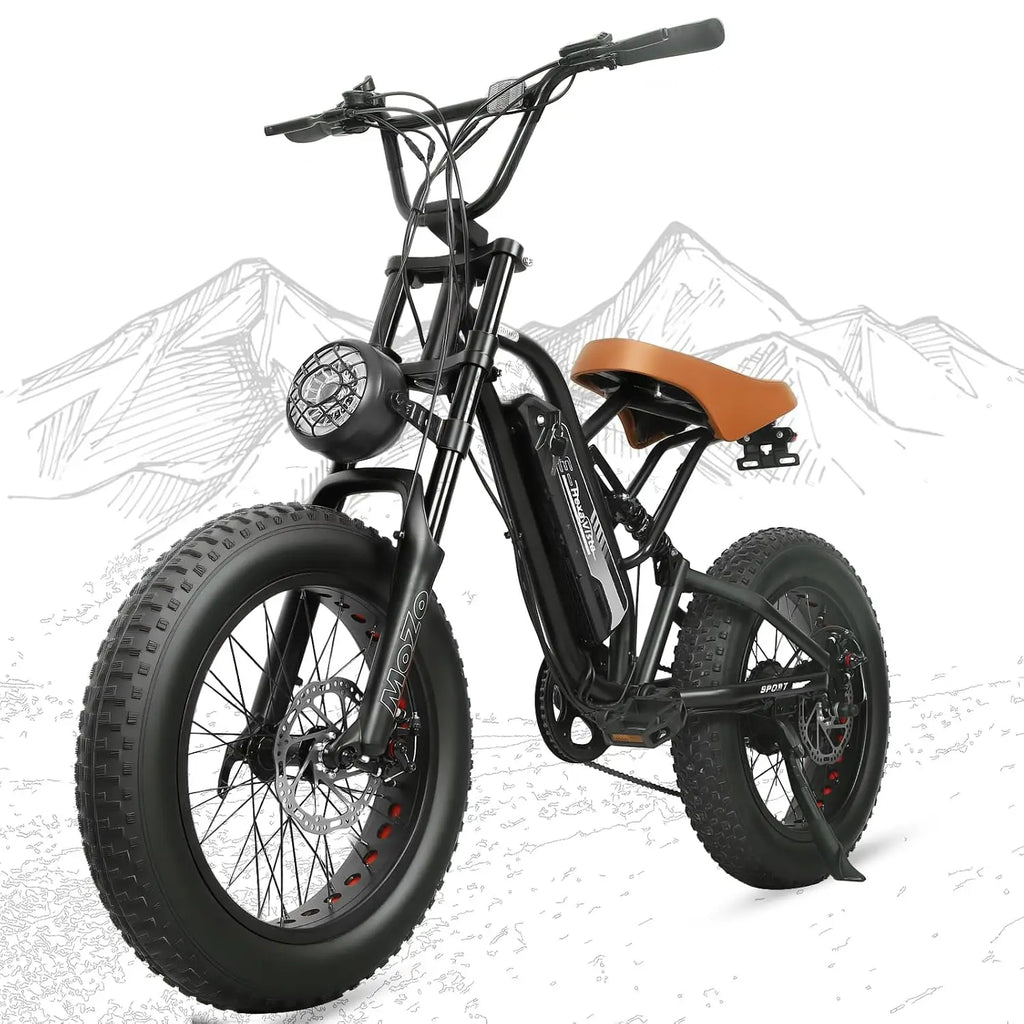 Electric Bike for Adults 48V/20AH Battery 1500W Peak Motor, 20" Fat Tire Ebike for Mountains, Snow, Sand, Road with, Custom