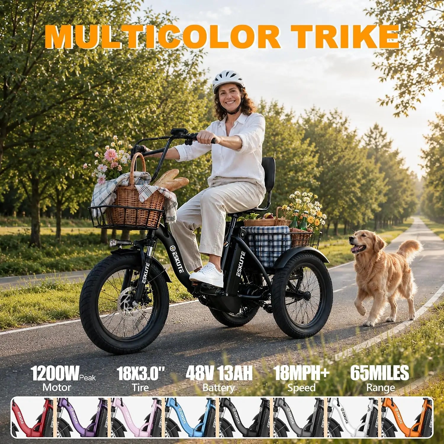 T300 Electric Tricycle for Adults, Peak 1200W Motor Folding E-Trike, 48V 13Ah Battery, 18" x 3.0" Fat Tire 3-Wheel, Customized