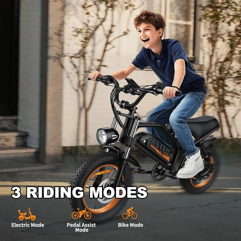 Electric Bike, 16'' E-Bike for Adults, 36V/12.8Ah Removable Battery, 20 MPH Range 45 Miles Small 500W Electric Dirt, Custom