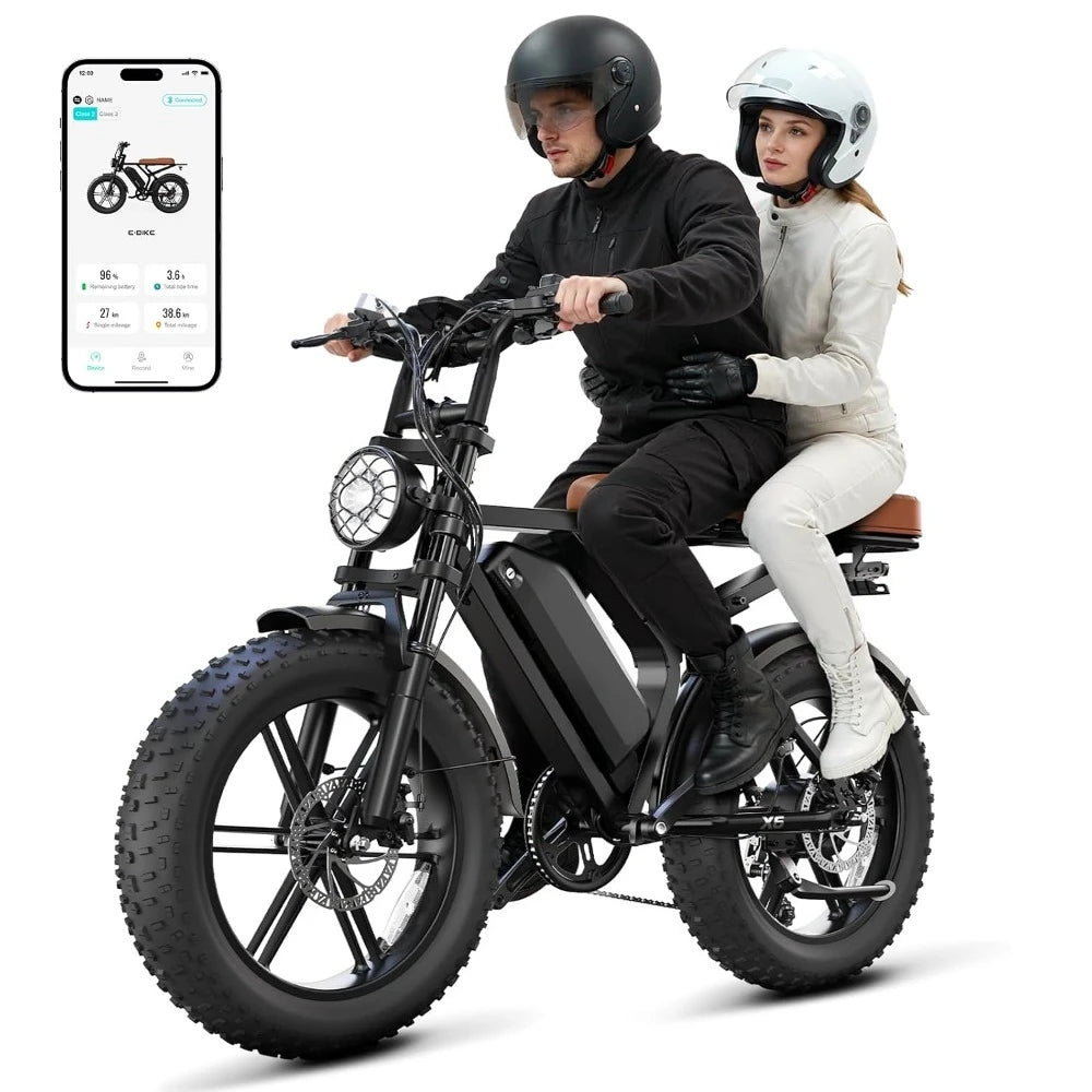 Peak 1500W Retro Adult Electric Bike, 20"x4" Fat Tires, 65&120 Miles Range, 48V 15Ah Removable Battery, Customized