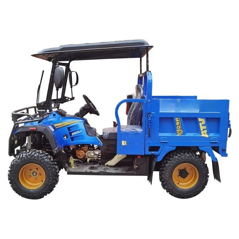 Small Truck Dune Buggy Beach Buggy Cruiser UTV 150cc 400cc Kids Adults Cheap 4*4 ATV
