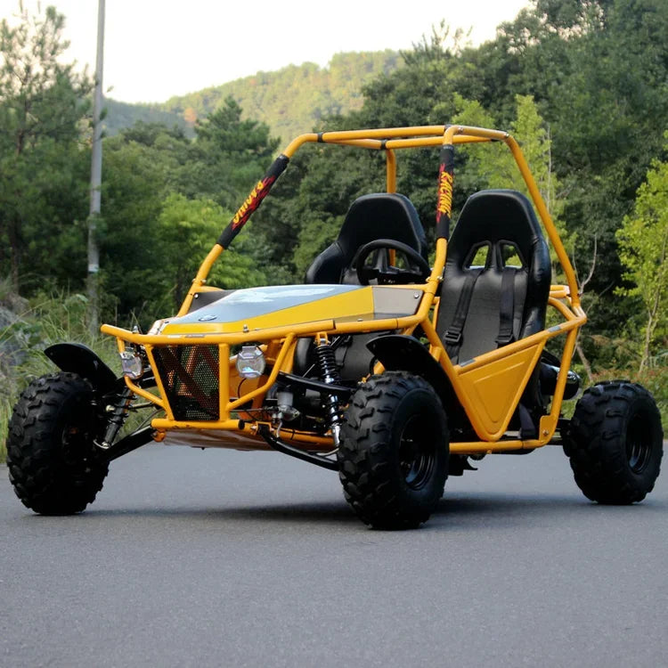 Automatic 200cc 2 Seater Go Cart Kids Each Sand Buggy Go Karts 4 Stroke Racing Off Road Dune Buggy Adult Go Kart For Sale