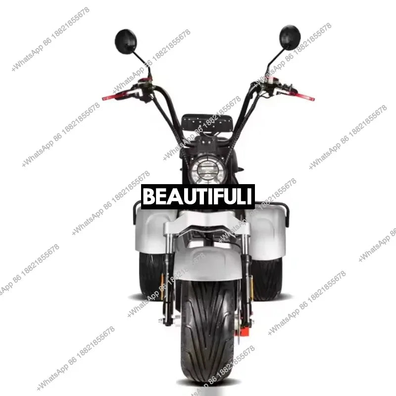 Unisex 3-Wheel Electric Tricycle Citycoco EEC Approved Electric Dirt Bike Scooter And Motorcycle 2000w Power