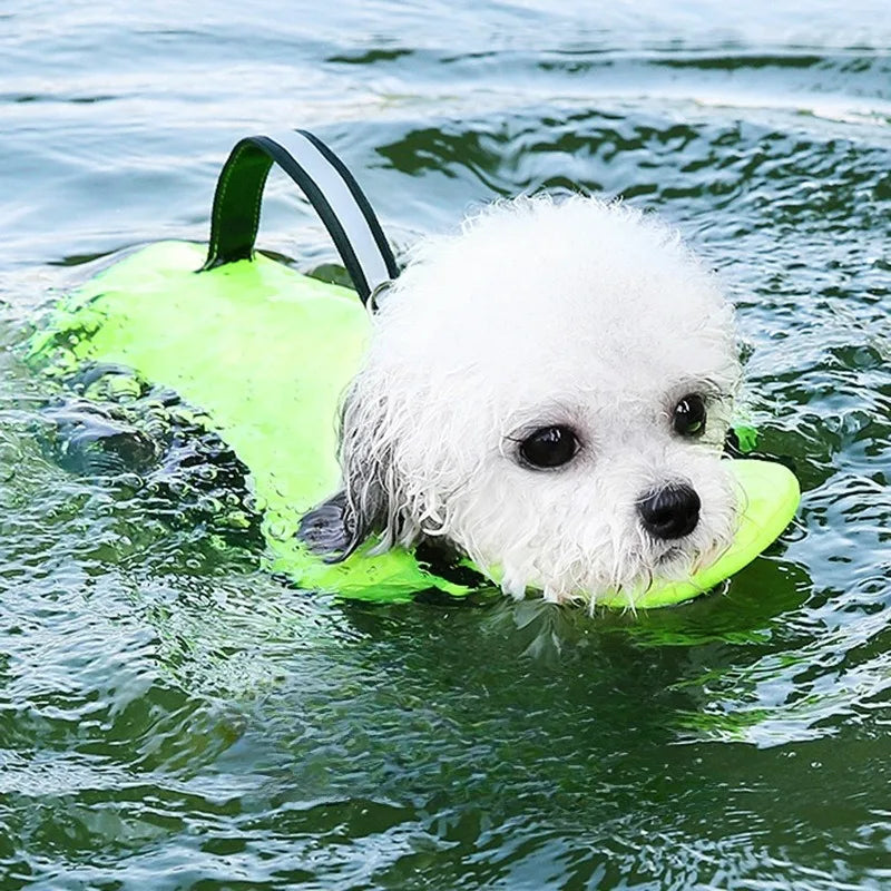 Dogs Swimsuit Summer Pet Clothes Water Play Dog Life Jacket for Small Medium Dogs Teddy Pet Life Vest