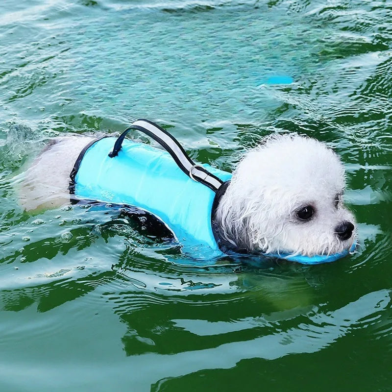 Dogs Swimsuit Summer Pet Clothes Water Play Dog Life Jacket for Small Medium Dogs Teddy Pet Life Vest